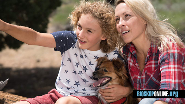 Nonton film THE BOY THE DOG AND THE CLOWN 2019 subtitle Indonesia