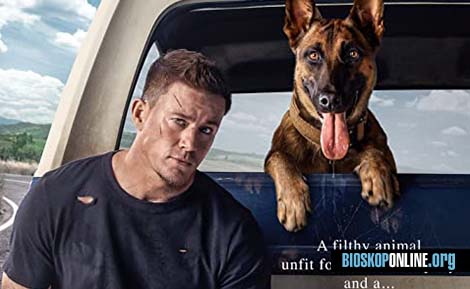 nonton film DOG 2022 subtitle Indonesia