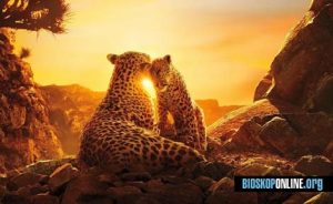 nonton film Our Planet (2019) subtitle Indonesia
